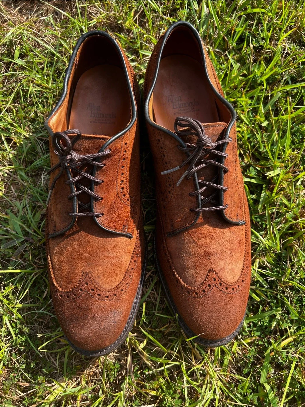 CLEAN Allen Edmonds size 13 Mens Big Sur Brown Suede shoes